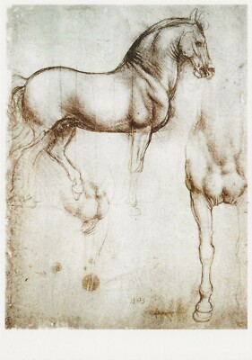 Postcard Leonardo da Vinci ''Study of Horses'' 1490 MINT Unused