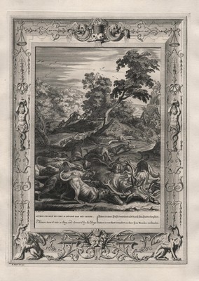 Actaeon Aktaion Hirsch deer Mythologie mythology Kupferstich engraving Picart