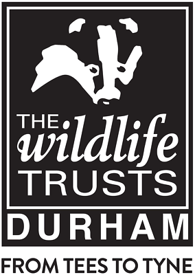 Durham Wildlife Trust Ltd