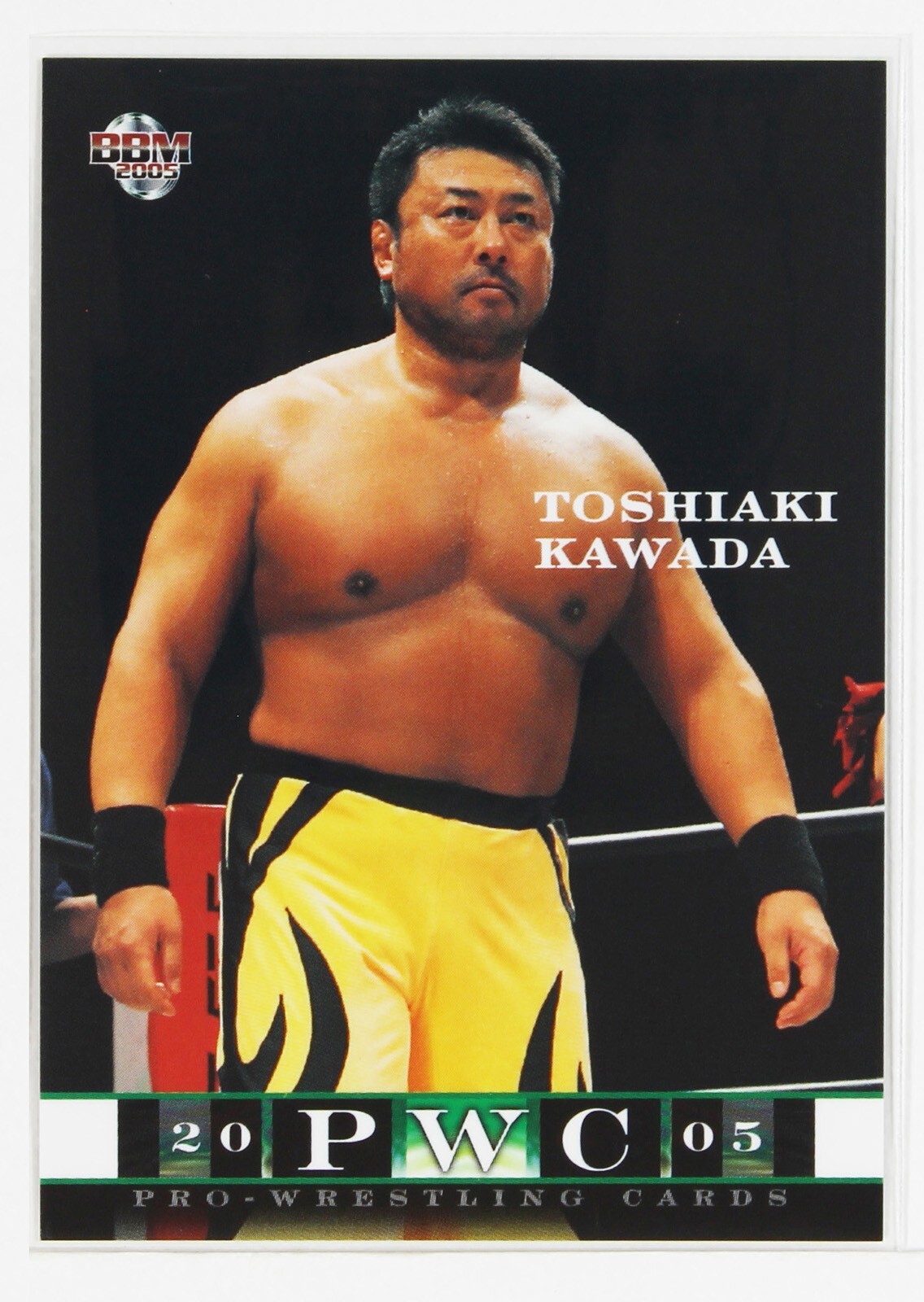 TOSHIAKI KAWADA - 2005 BBM Pro-Wrestling Trading Card | eBay