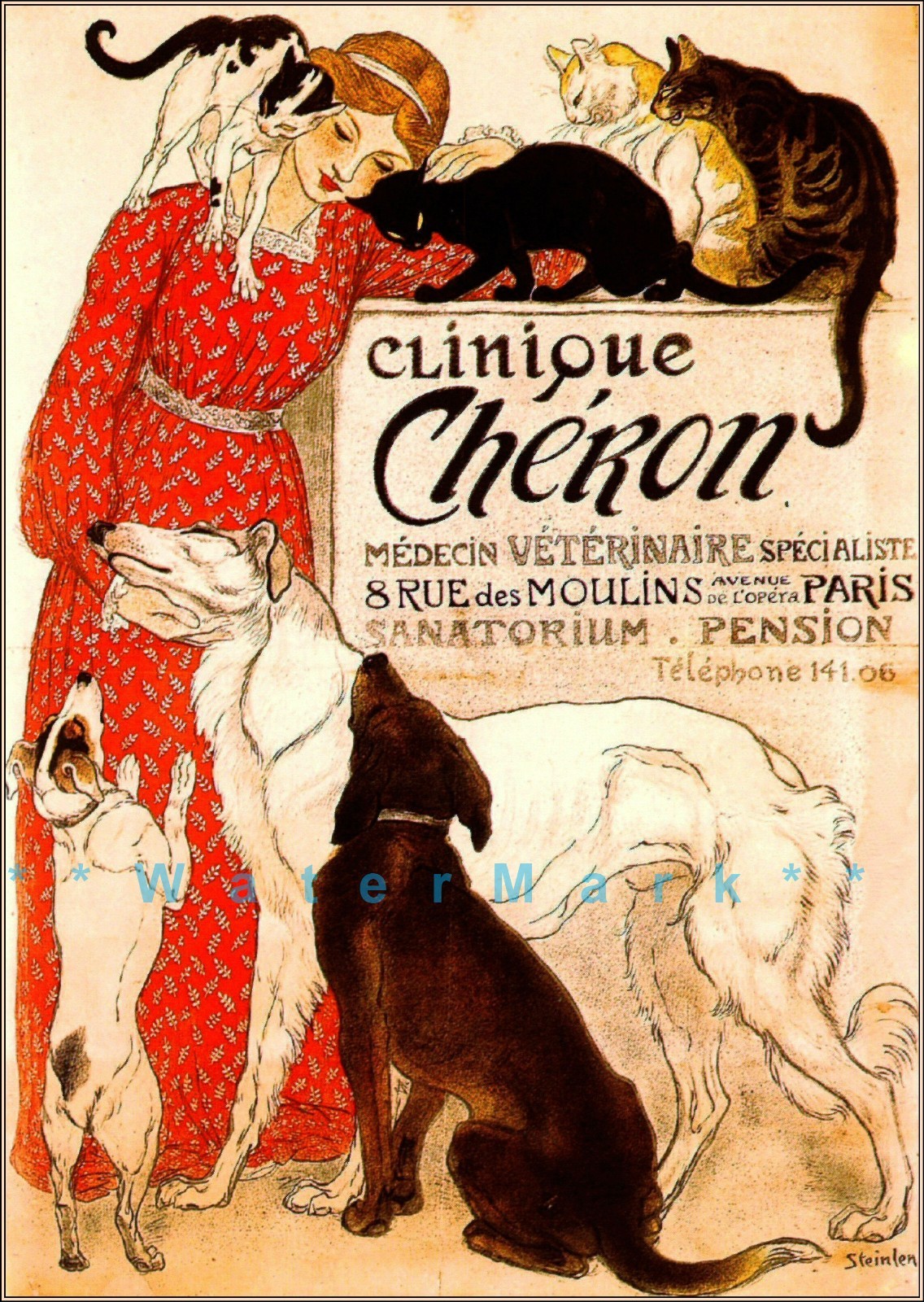 Clinique Cheron 1905 French Veterinary Clinic Advertisement Vintage Poster Print