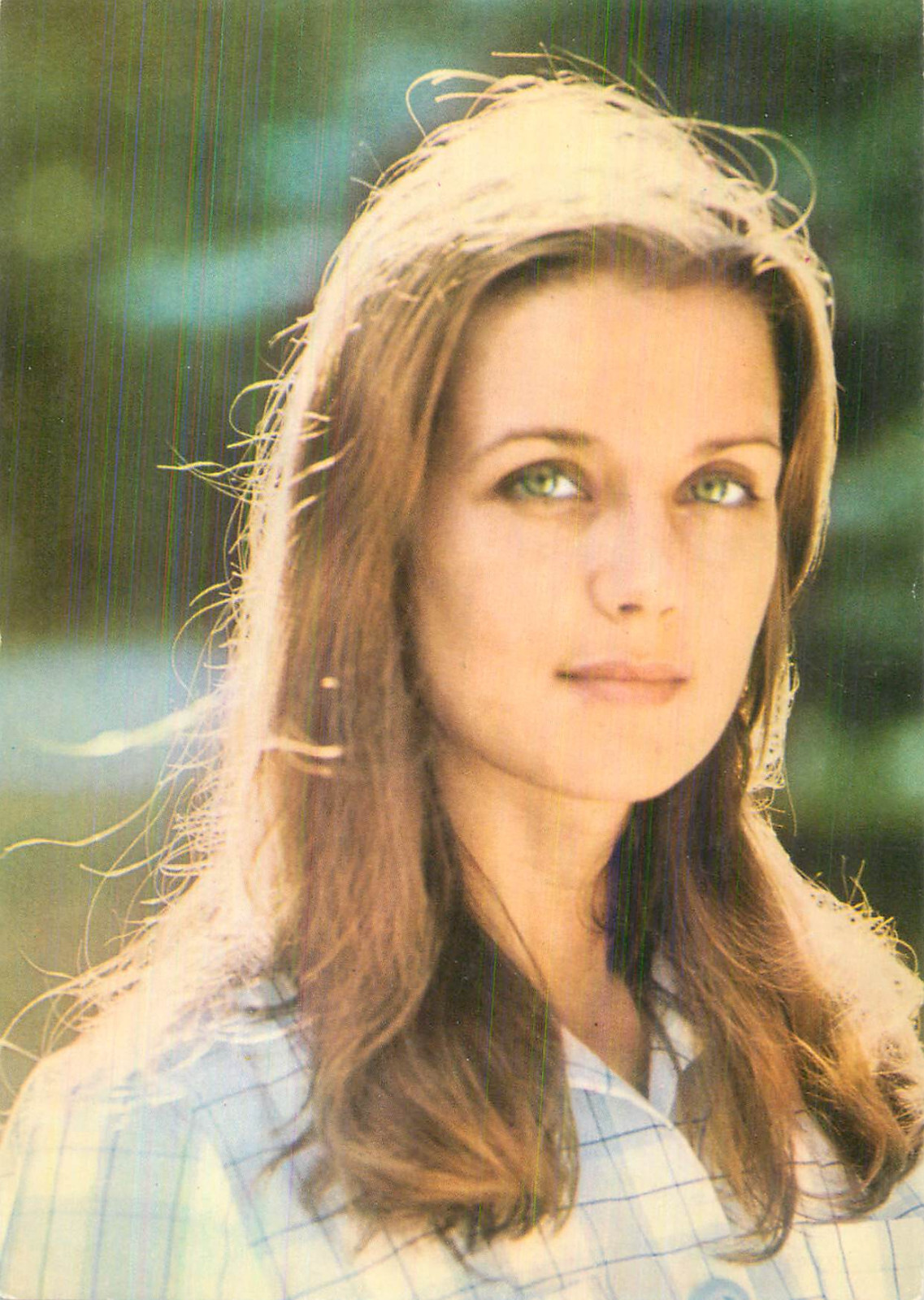 Mushuklarning shaxsiy fotosuratlari