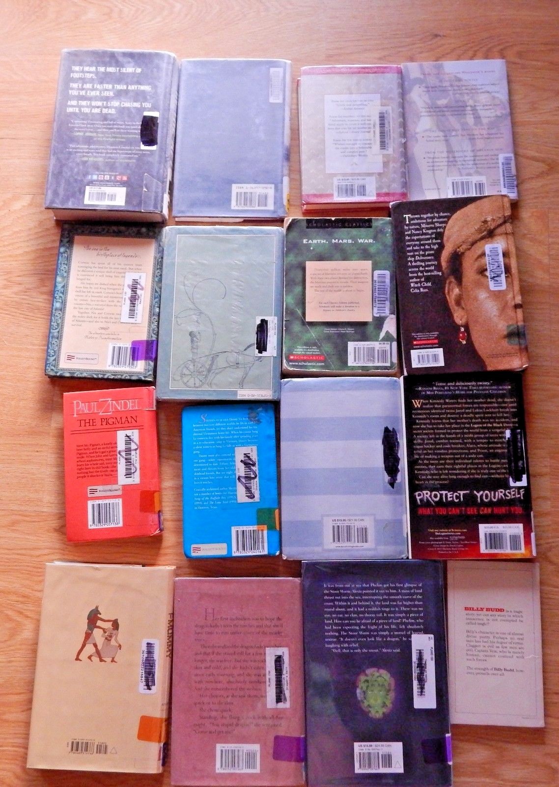 Middle Grade Accelerated readers Lot of 23 Chapter, Classroom