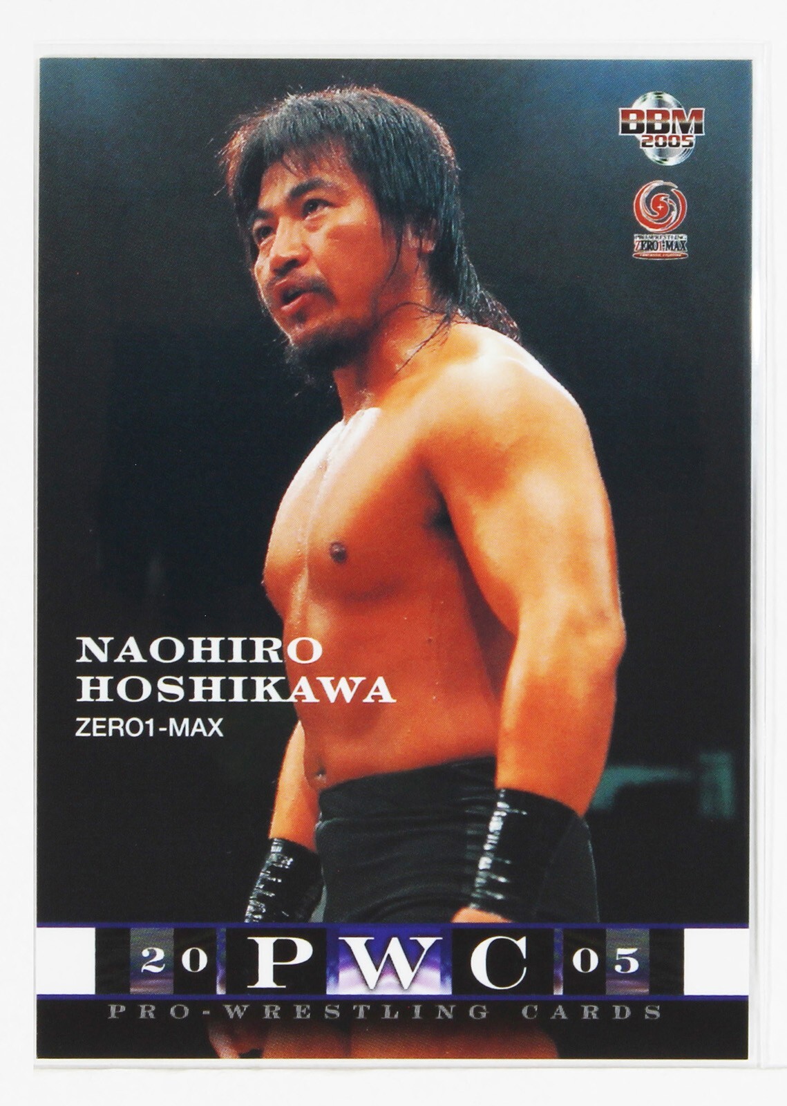 NAOHIRO HOSHIKAWA - 2005 BBM Pro-Wrestling Trading Card | eBay