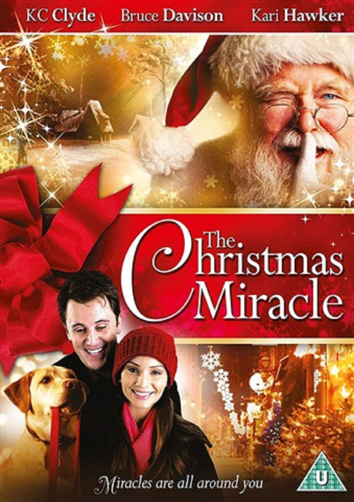 パクボゴム クリスマスファンミ DVD 【公式通販】