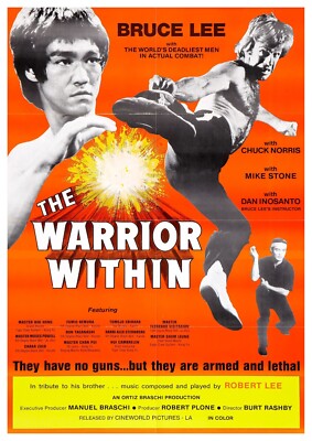 Reproduction ''The Warrior Within'' Classic Movie Poster. Size: A2