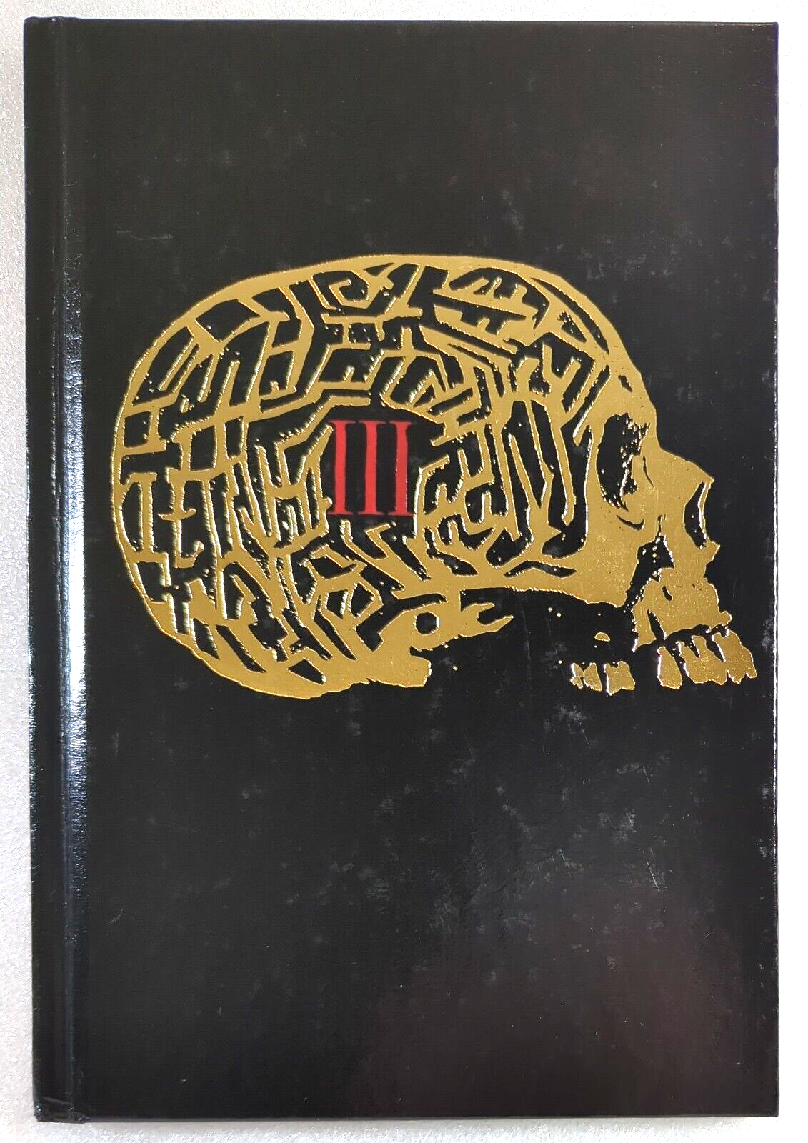 The Booking Black Labyrinth Book 3 by Ramsey Campbell