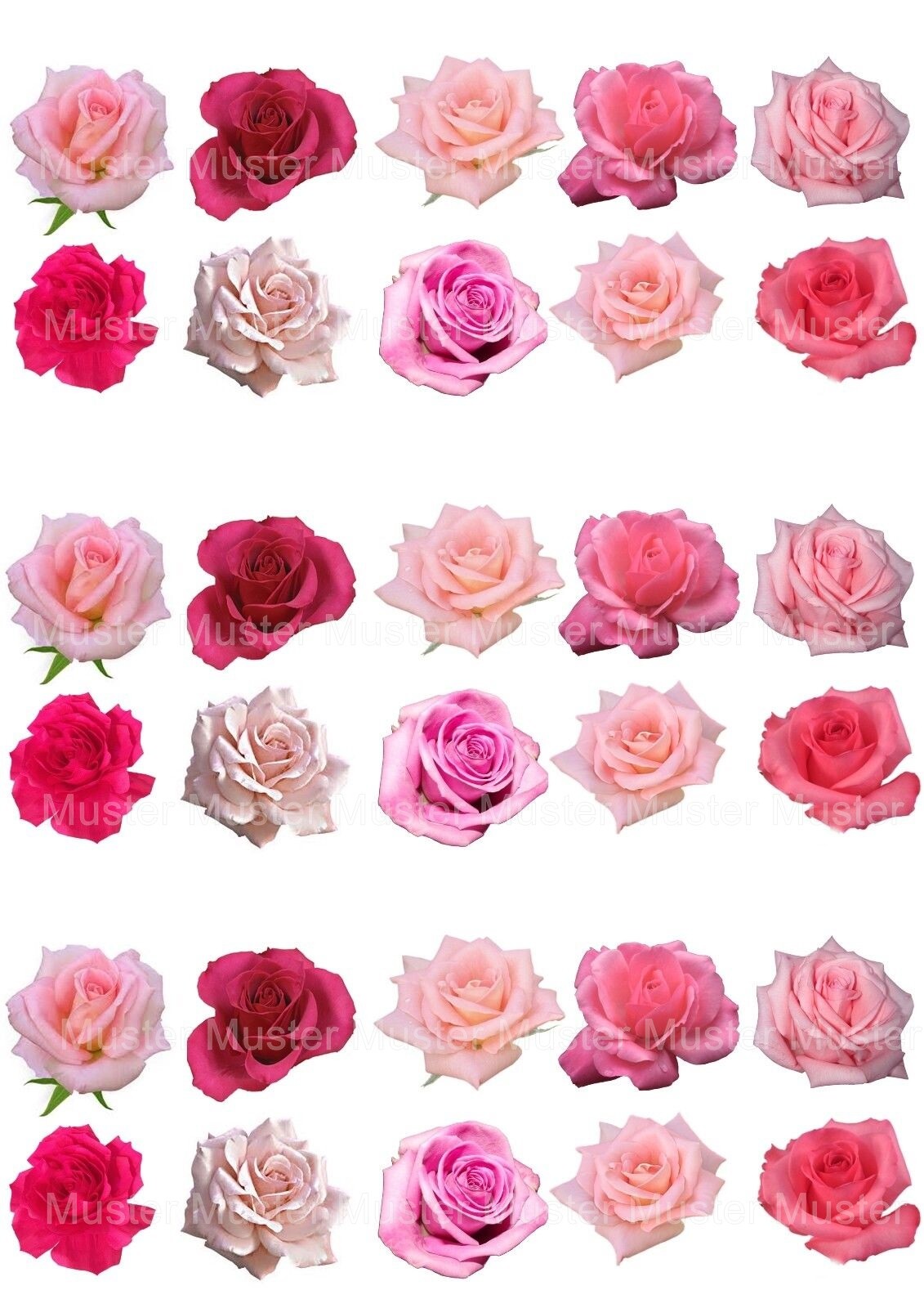 Blumen eßbar Muffin Tortenaufleger Tortenbild Party Deko Cupcake Rose Rosa rot 