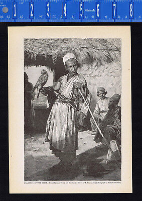 Falconer of the Sheik - Hindu Persian Types & Costumes -1915 Page of History