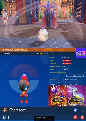 Pokemon Scarlet/Violet SHINY EGG CHARCADET   ADAMANT 6IV SHINY Hatch Your Own