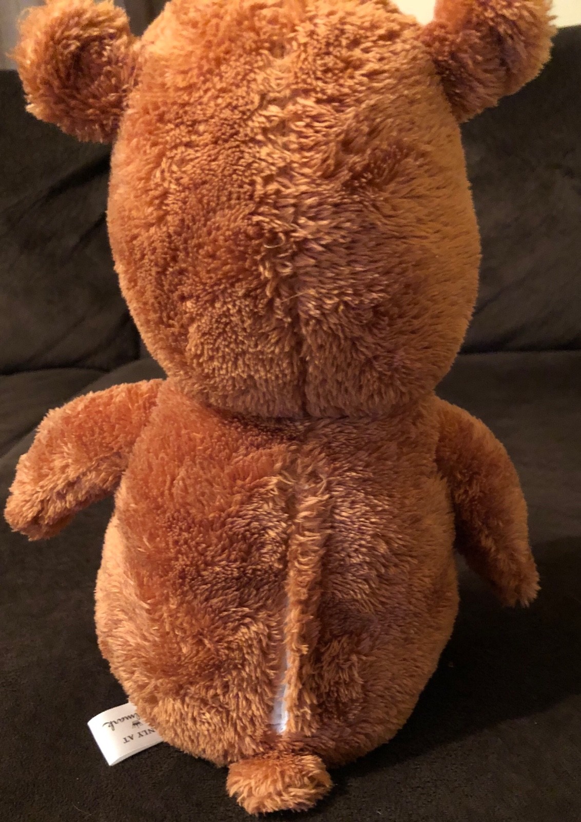 Hallmark Record a Name Singing Bear Plush