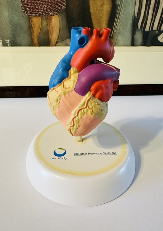 Vintage Drug Rep Daiichi-Sankyo Forest Pharmaceutical Cardiac Heart Model New