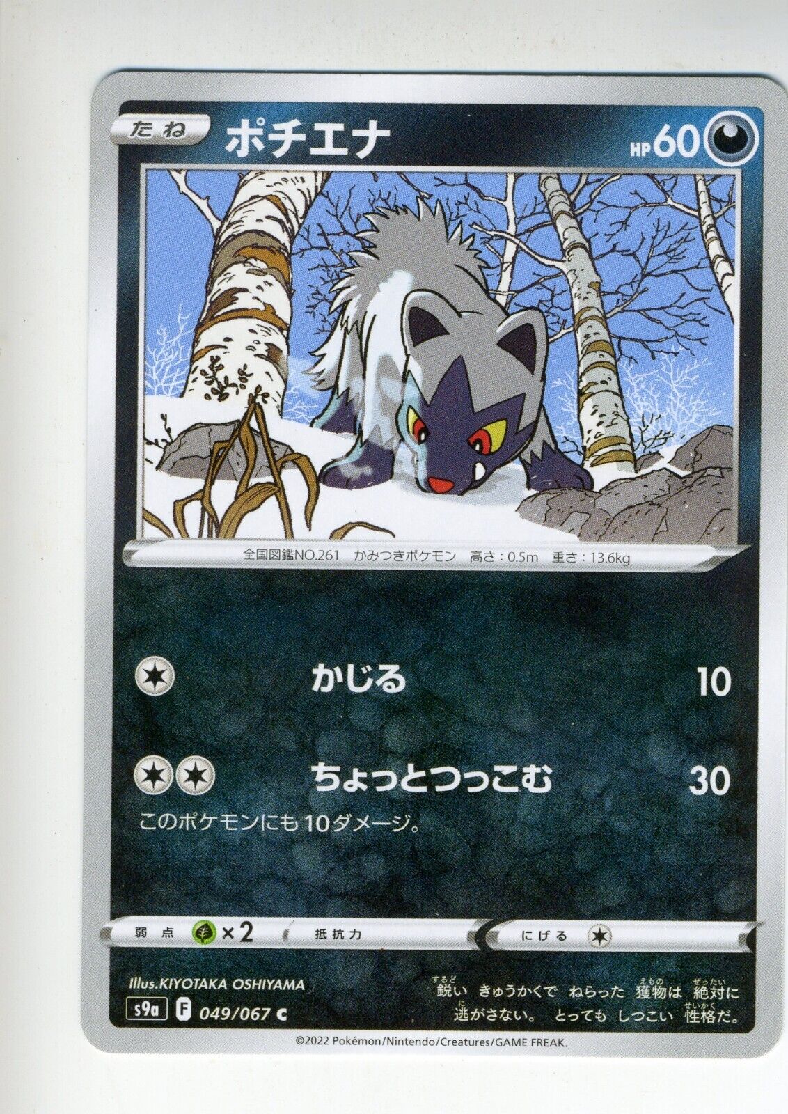 Pokemon Cards Poochyena 049/067 Japanese 230118 Pokemon Cards Poochyena 049/067 Japanese 230118