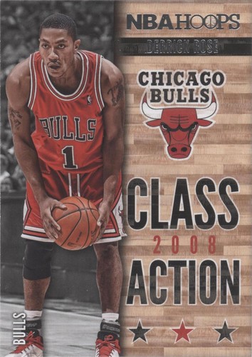 2013-14 NBA Hoops - Derrick Rose #5