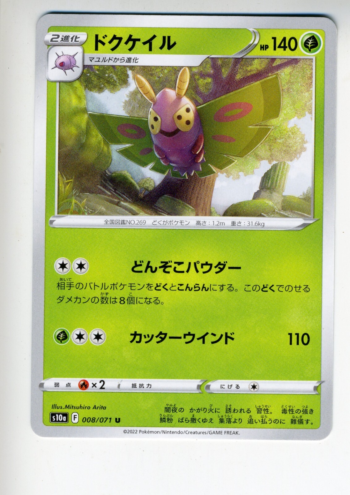完成//order◯DDOさま専用◯ 1000137862_1_800x.jpg?v=1571603581