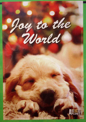 small ''Joy to the World'' Puppy Dog Christmas Garden Flag (12'' x 18'') 