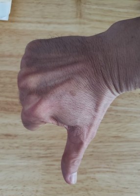 Fotos del artículo de un comprador verificado