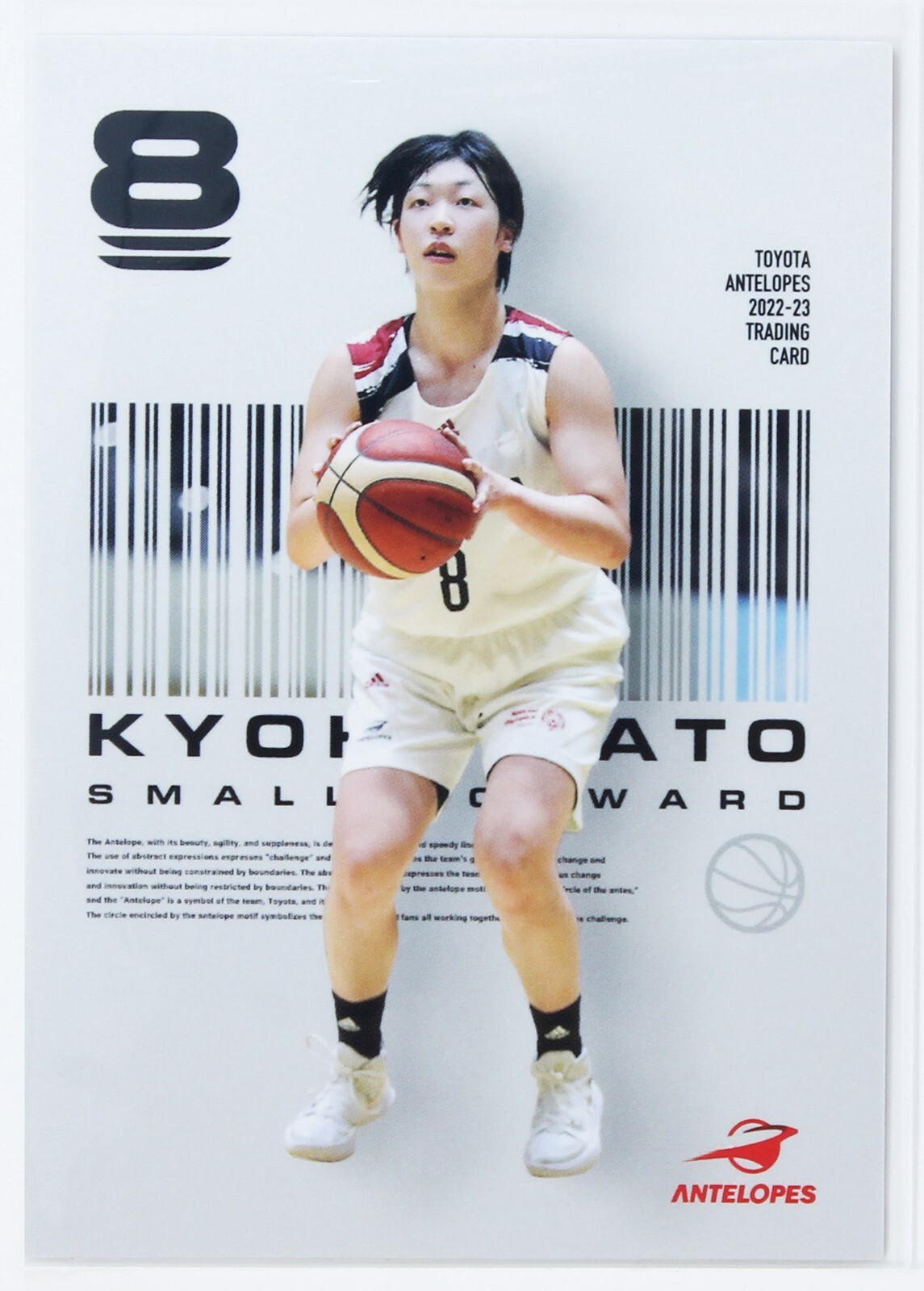 HAYATO ポストカード Kyoka Sato No.21 - TOYOTA Antelopes 2022-23 TRADING CARD | eBay