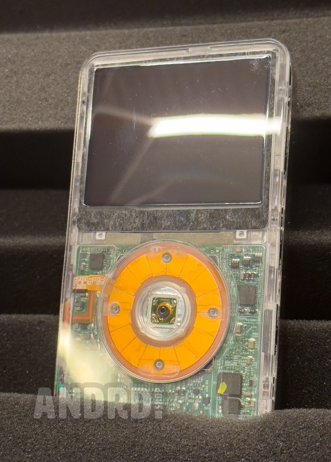 Customizable Clear Apple iPod Video 5.5 Gen | Taptic Mod
