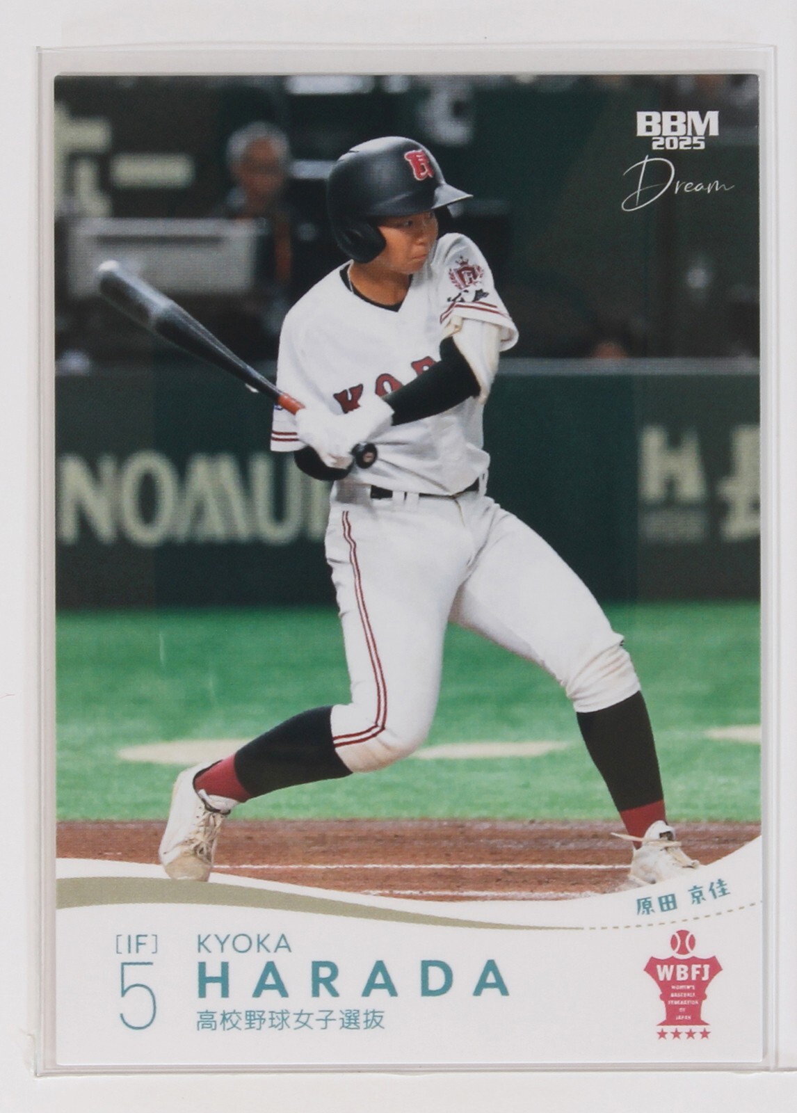 Baseball Americana 本 英語 Baseball Americana: Treasures