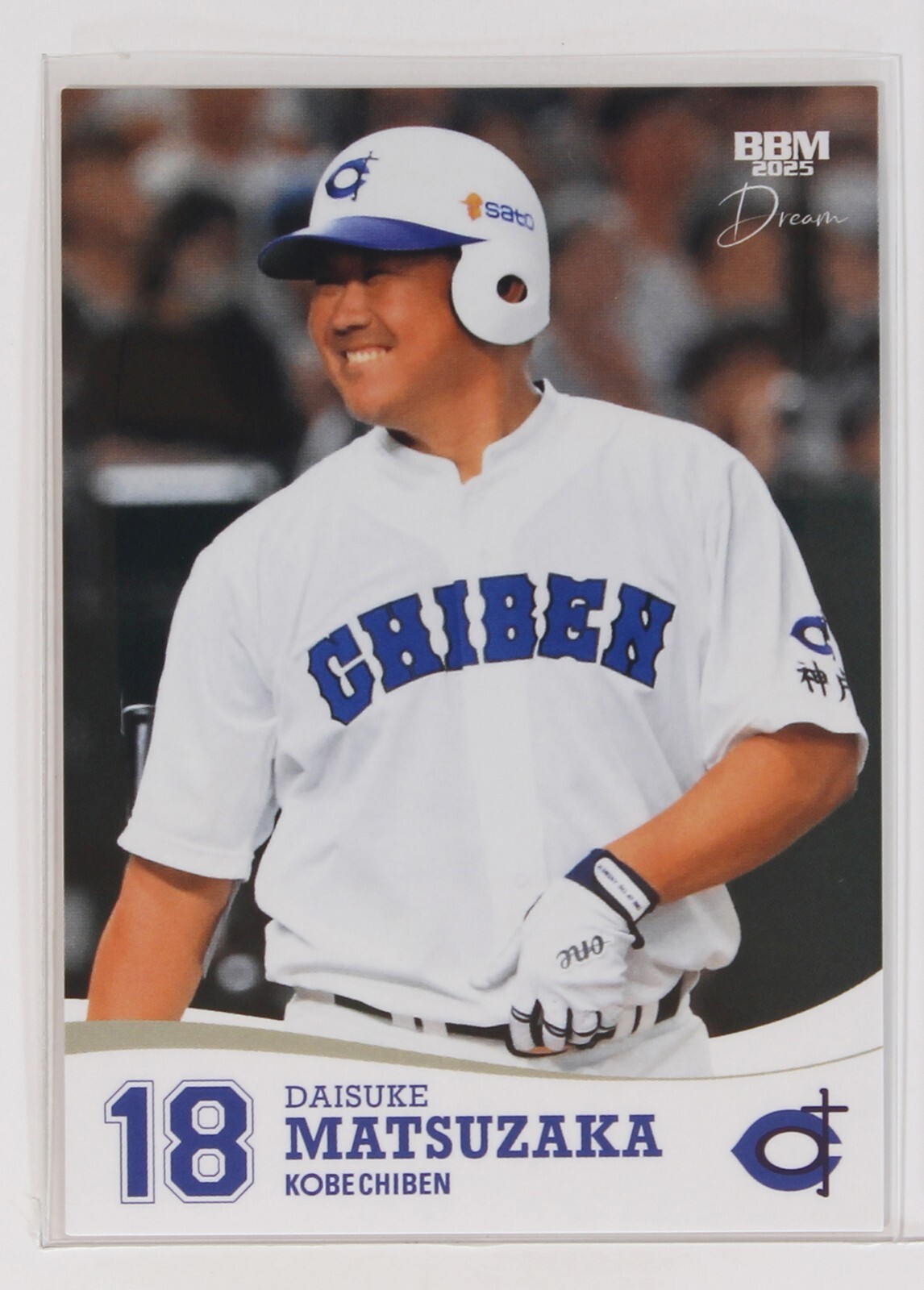 洋書 Remembering Japanese Baseball 洋書 Remembering Japanese Baseball Remembering Japanese