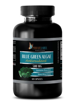 Organic BLUE GREEN ALGAE Powder 500mg - Spirulina Klamath Lake - 1 Bottle