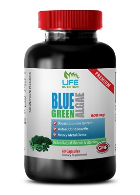Spirulina Powder- Klamath Blue Green Algae  500mg  Organic Health Booster 1B 60C