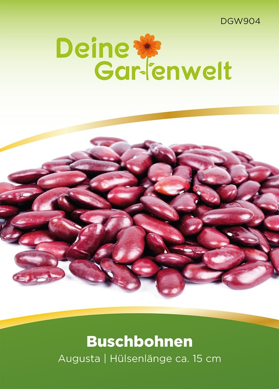 Buschbohnen Augusta Samen - Phaseolus Vulgaris  - Buschbohnensamen