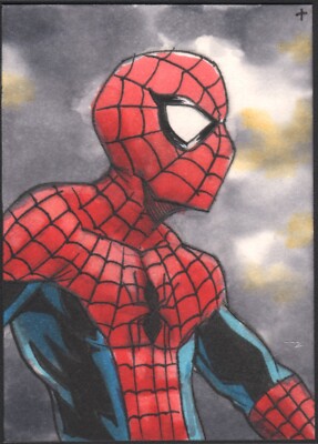 SPIDER MAN Sketch card by Artist Turtle Original Art