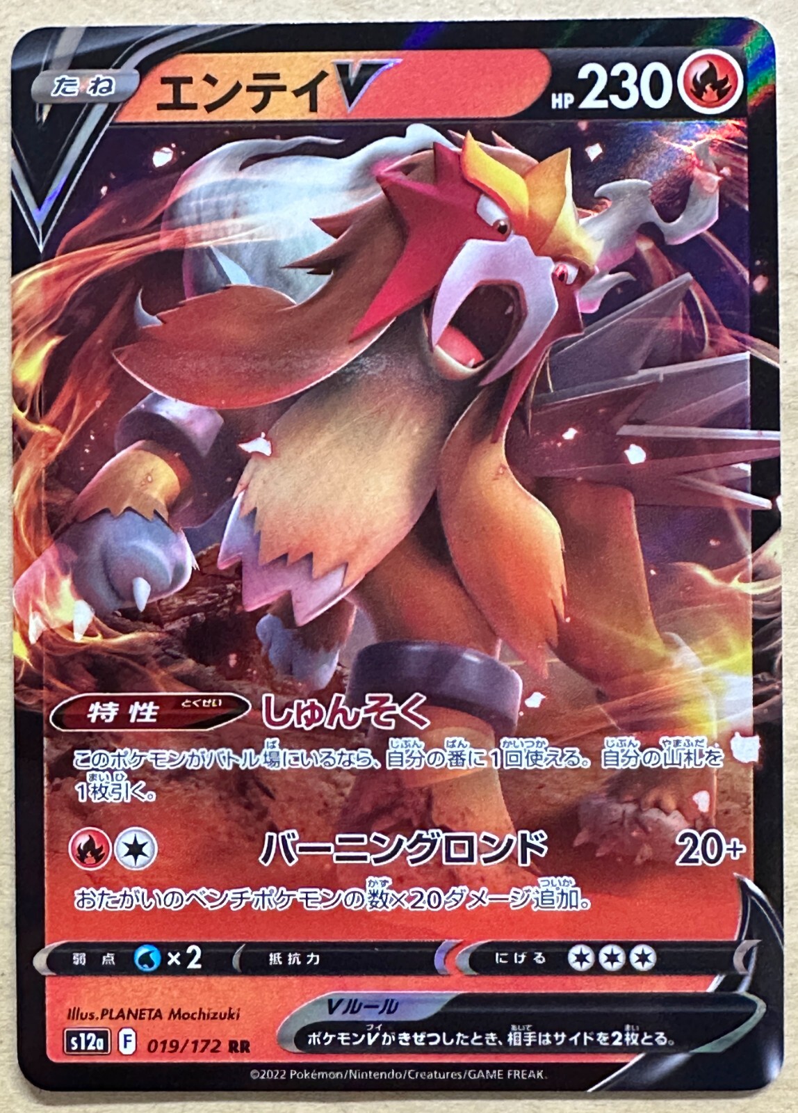 【PSA10】 エンティV SAR S12a 213/172 PSA10】エンテイV (SAR) {213/172} [S12a] - magi通販【ポケモン