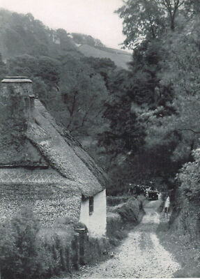 Devon Lane And Cottage Vintage Print Old Picture 1941 IHLE#19