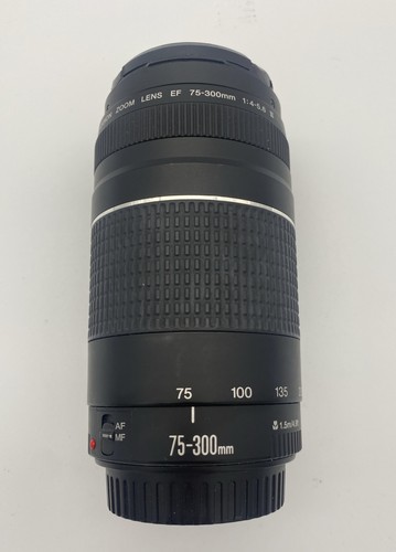 Canon Ultrasonic Zoom Lens EF 75-300mm 1:4-5.6 III USM 58 mm