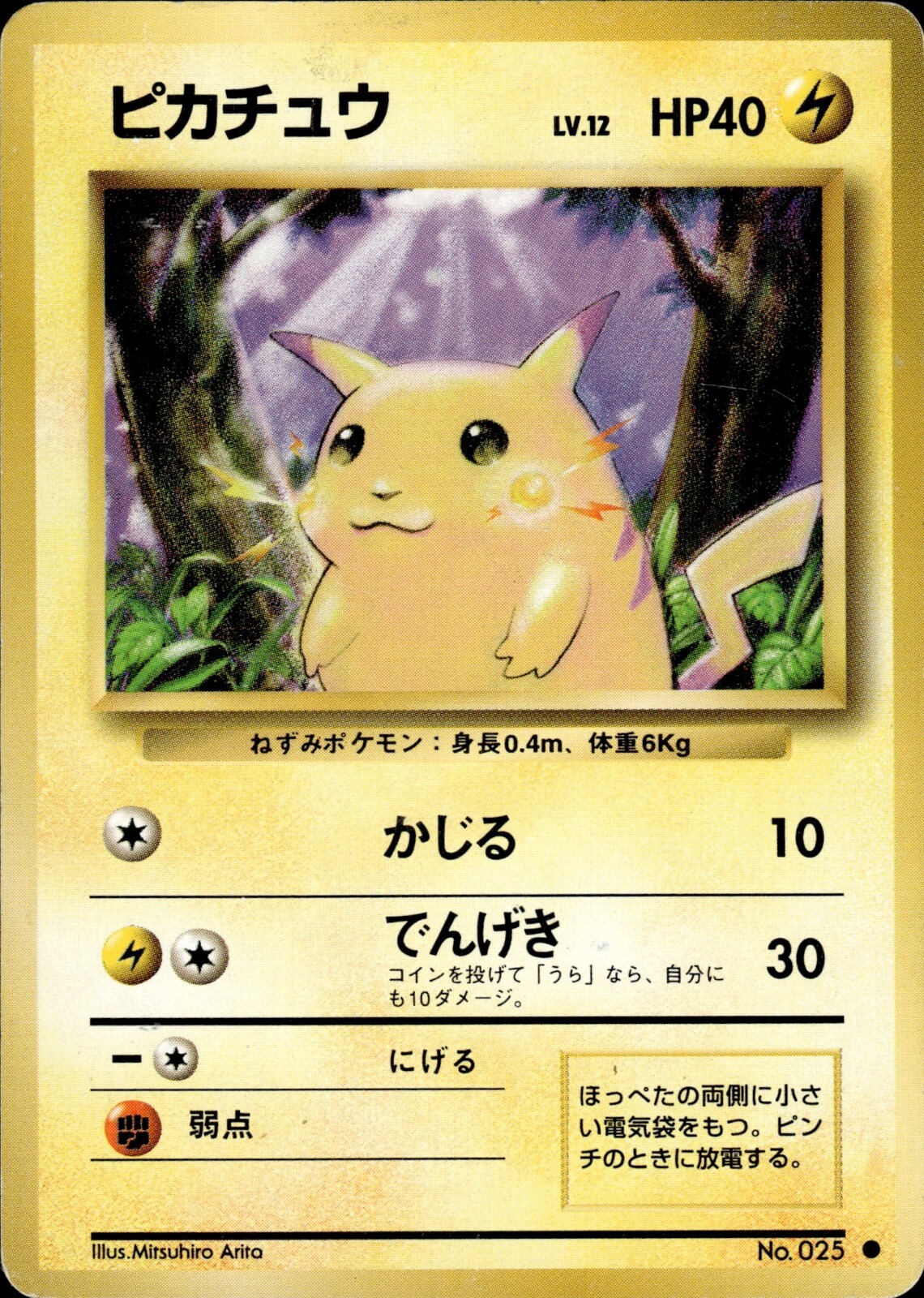 レア ポケモン アニメ初期 当選品 ビデオケース プラバッグ