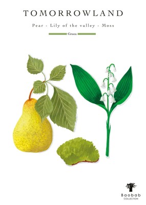 Pre-owned Baobab Collection - Candle Tomorrowland - Lily Of The Valley-moss-pear - Max16 In Green