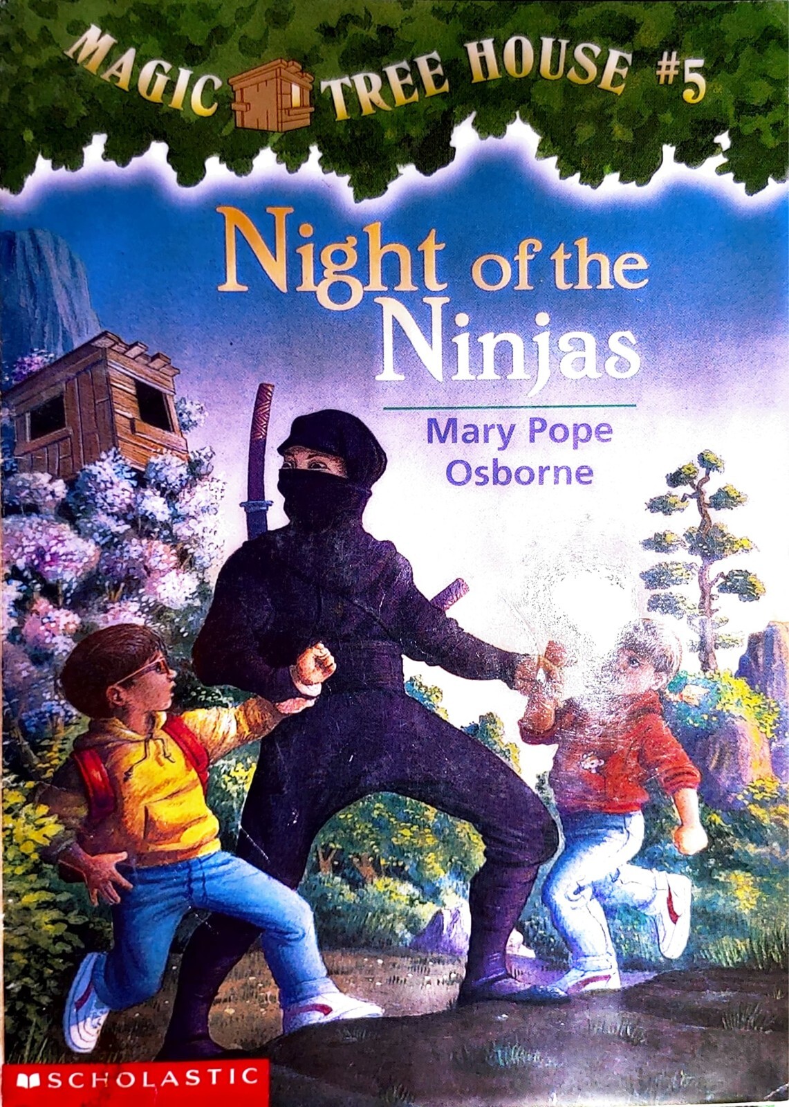 Magic Tree House The Graphic Novel 5冊 91Jeght9wGL._UF350,350_QL50_.jpg