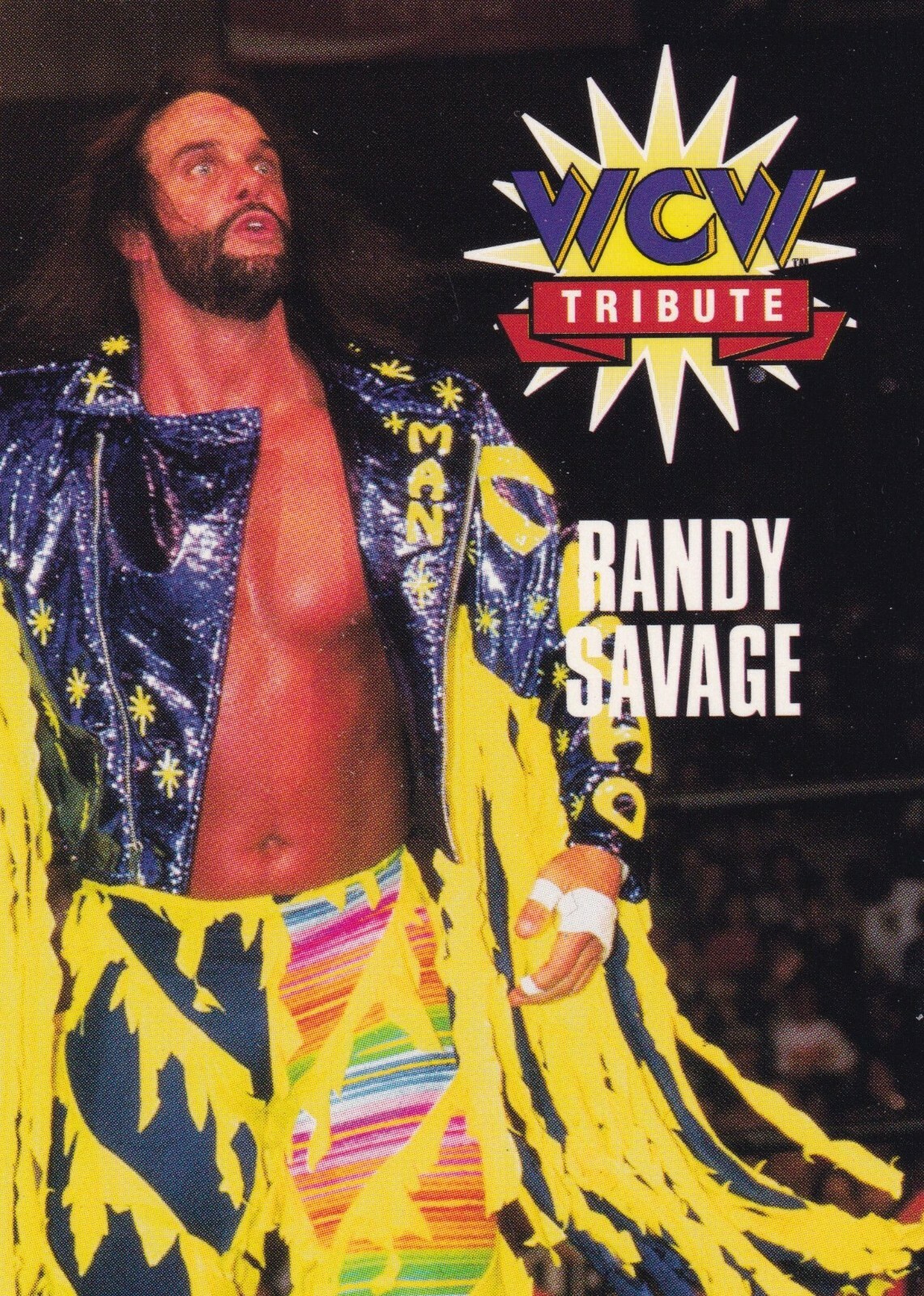 WCW カード 72枚 Macho Man Randy Savage 1995 Cardz WCW Main Event Tribute