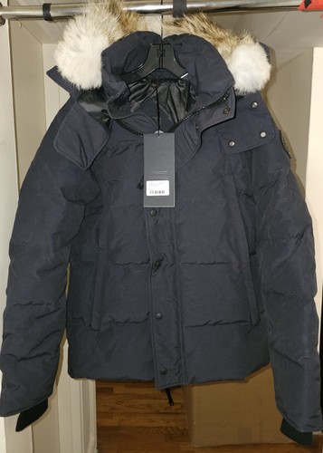 $_12.JPG?set_id=880000500F