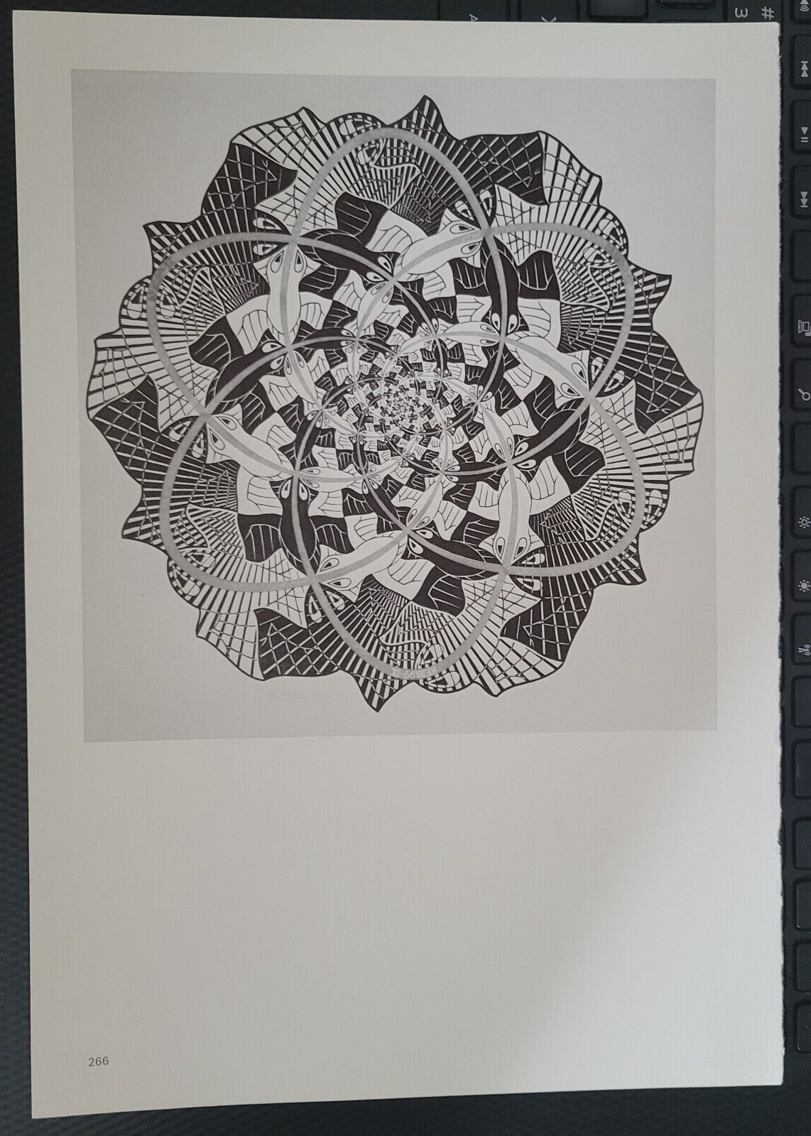 PATH OF LIFE III (Tessellation 1966) by M C Escher 11x73/4" Op Art style Print