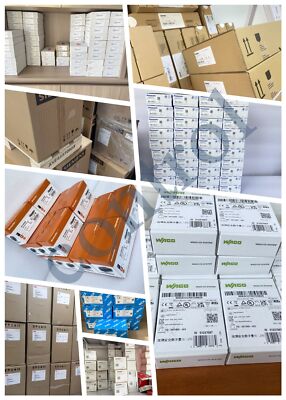 1PCS WATLOW Drive DC10-24P0-0000 