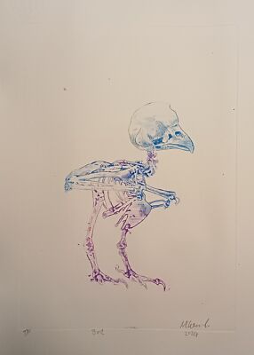 經驗證買家提供的物品圖片