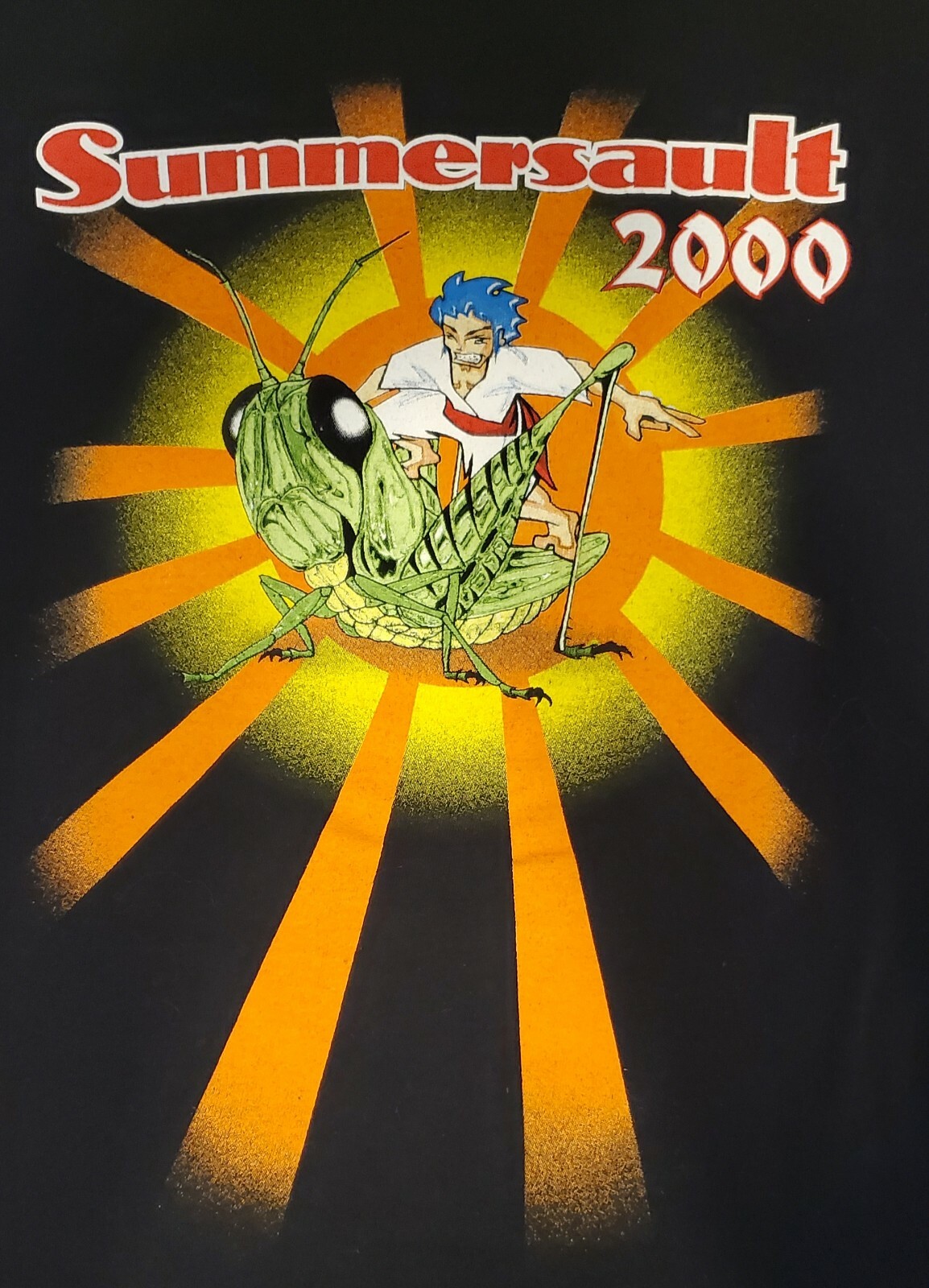 Vintage 2000 Summersault Concert Tour T Shirt Our Lady Peace