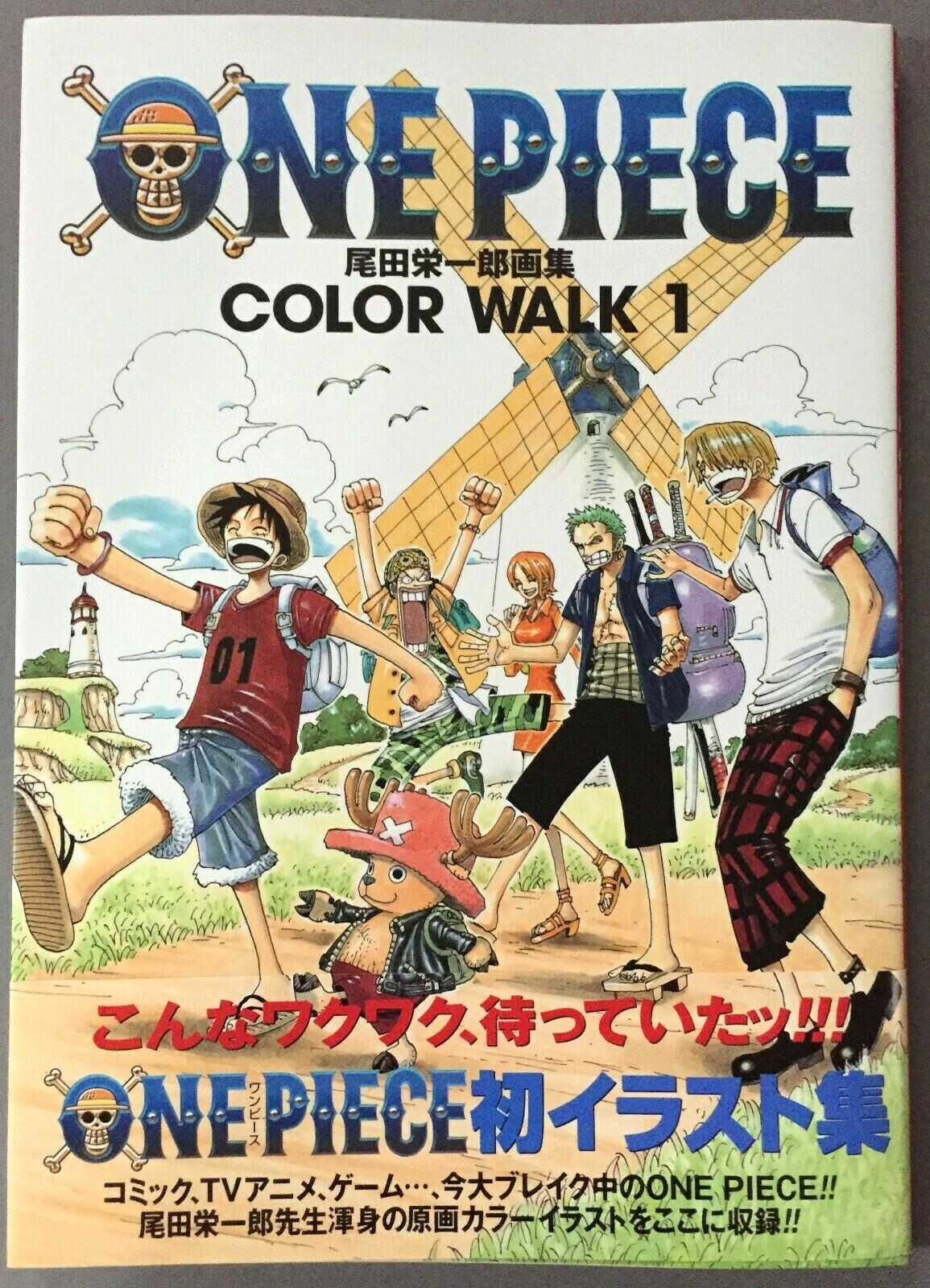 ONE PIECE COLOR WALK 1 EIICHIRO ODA illustration Art Book