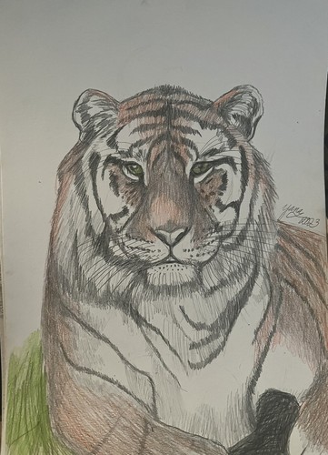 On Aquarelle Rare 11 By 14