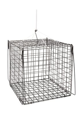 SOUTH BEND Hurricane F210 Hr Crab Trap Sq 10.5X10.5X10.5, Multi, One Size
