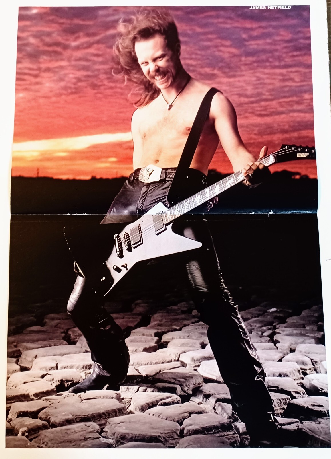 ポスター　ポスター　James Hetfield　James Hetfield James Hetfield of Metallica Poster by David Ilzhoefer - Fine
