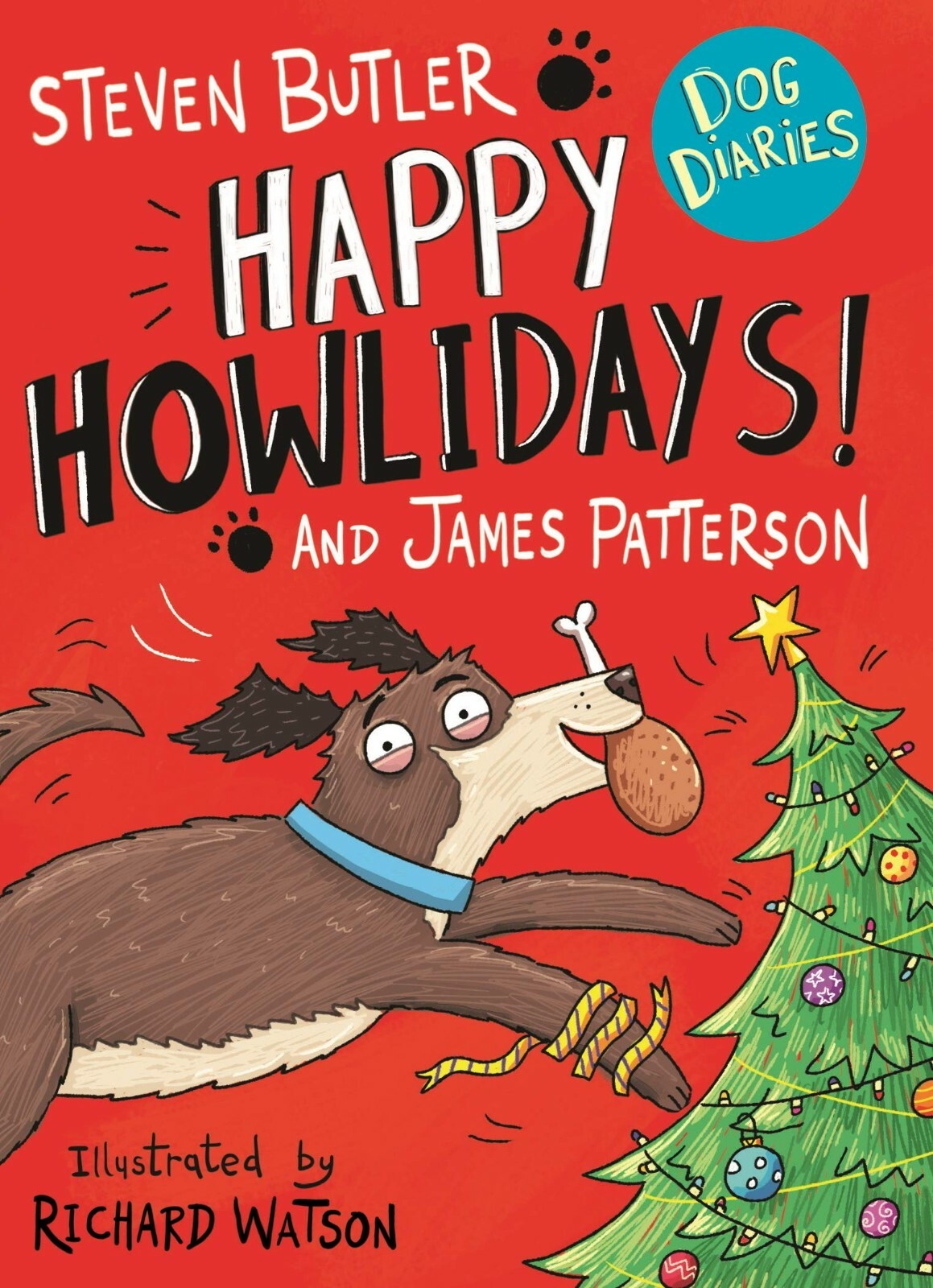 Dog Diaries 3 Books Children Set Paperback By Steven Butler & James