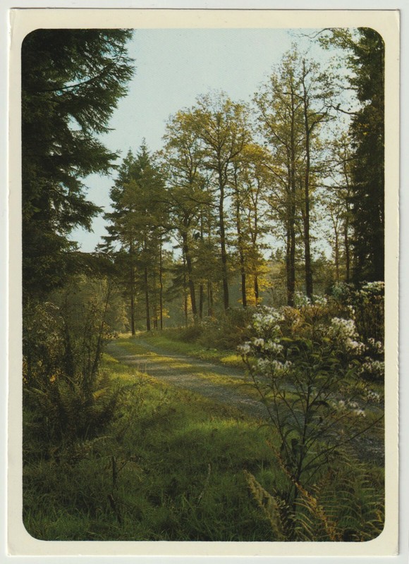 Wanderwege Im SchÃ¶Nen Sauerland. Eine Grobbel Karte, Fredeburg, Neu, S. 2 Scans