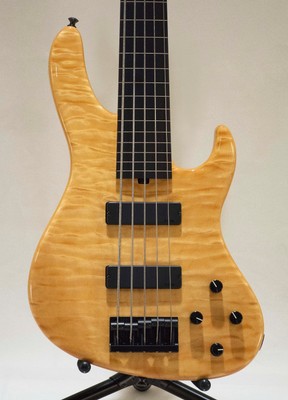 Sadowsky NYC Moderne 5 String Fretless Bass with Case and Roger's Signature