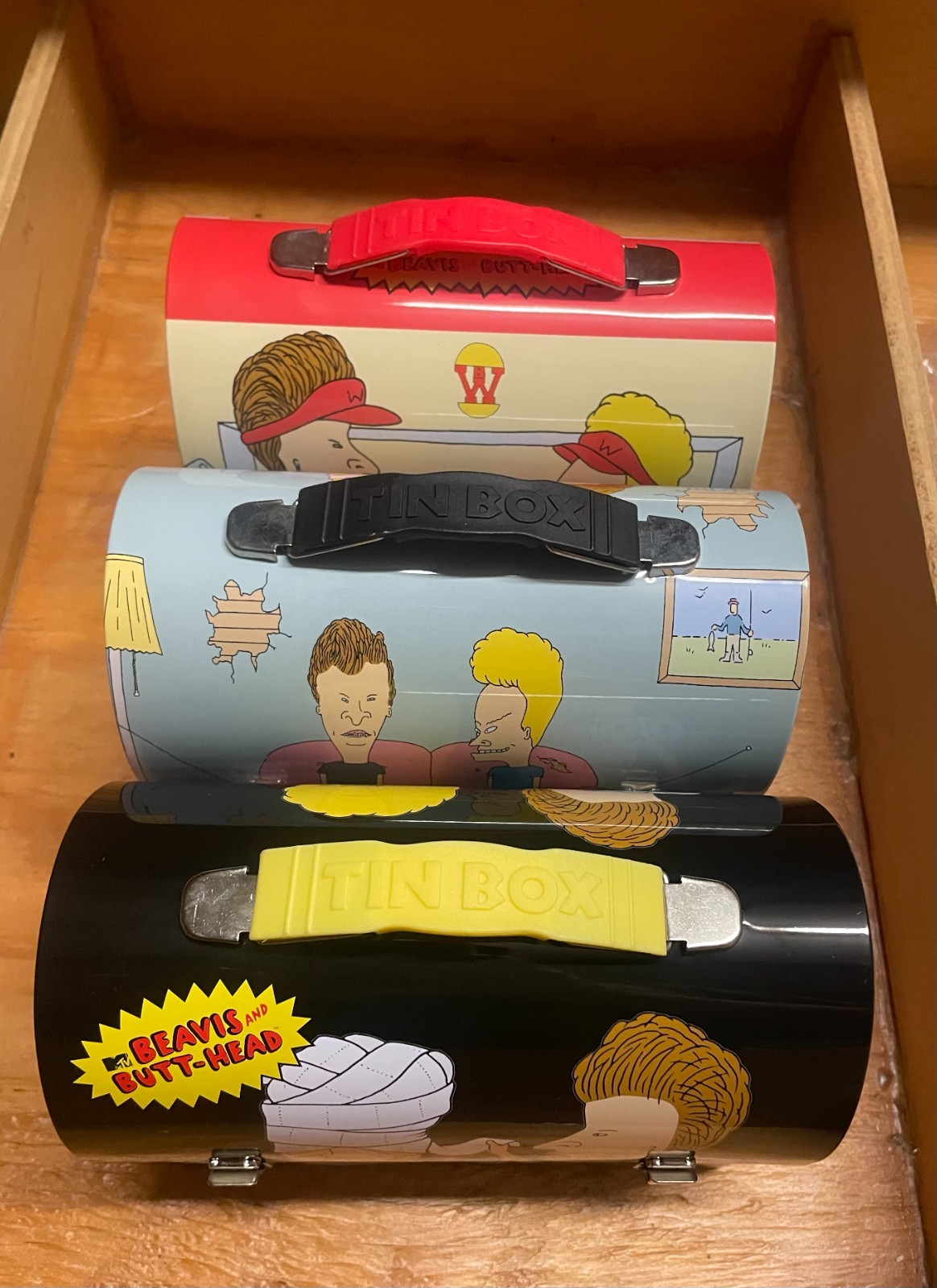 LOT OF 5 NEW BEAVIS AND BUTT HEAD METAL LUNCH BOXES NEW UNUSED MTV