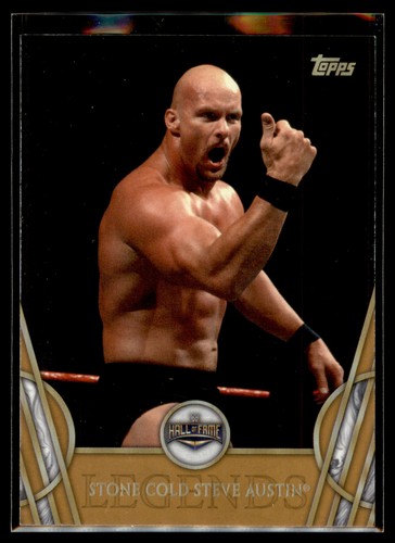 2018 Topps WWE Wrestling Legends BRONZE #49 Stone Cold Steve